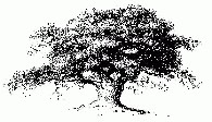 absolution-4.jpg